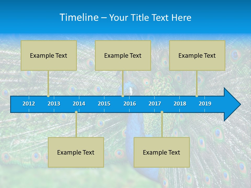 Beak Plumage Detail PowerPoint Template
