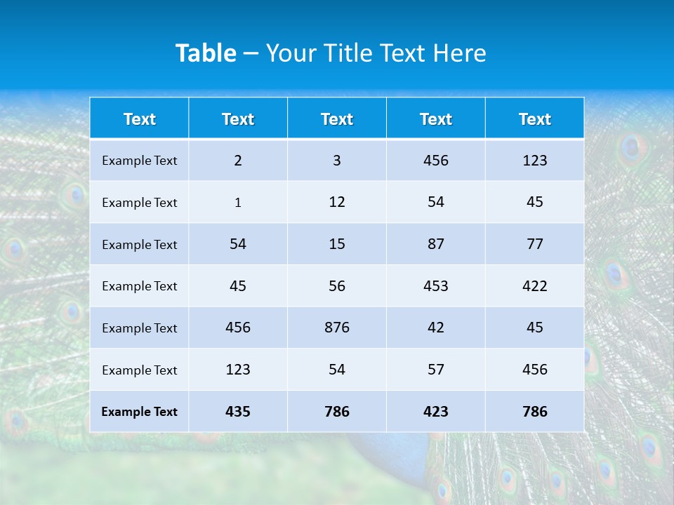 Beak Plumage Detail PowerPoint Template