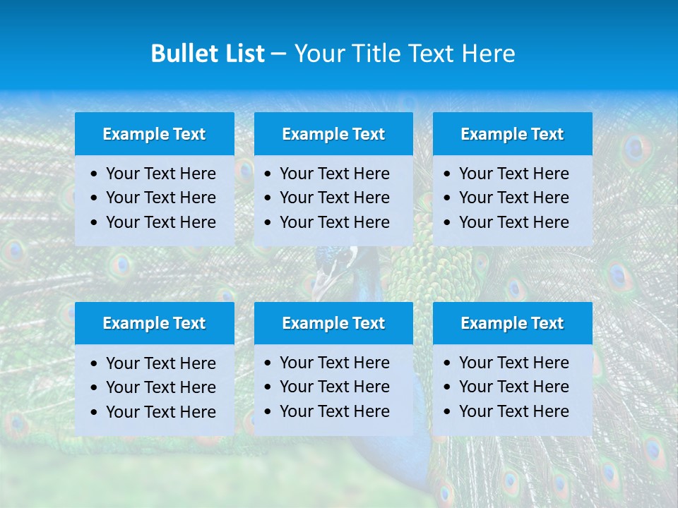 Beak Plumage Detail PowerPoint Template