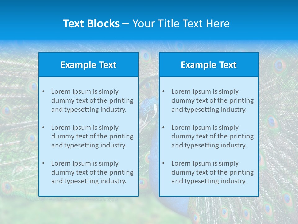Beak Plumage Detail PowerPoint Template
