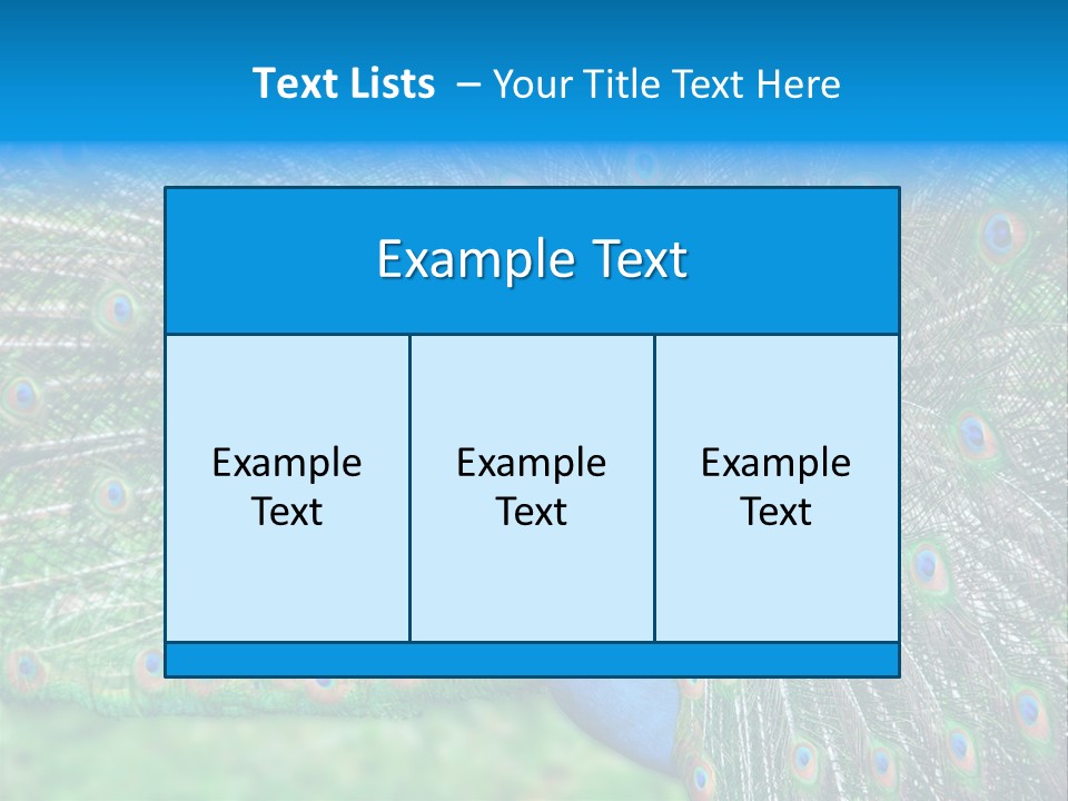 Beak Plumage Detail PowerPoint Template