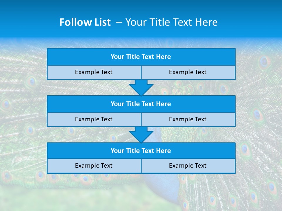 Beak Plumage Detail PowerPoint Template
