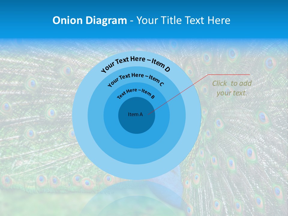 Beak Plumage Detail PowerPoint Template