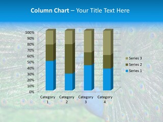 Beak Plumage Detail PowerPoint Template