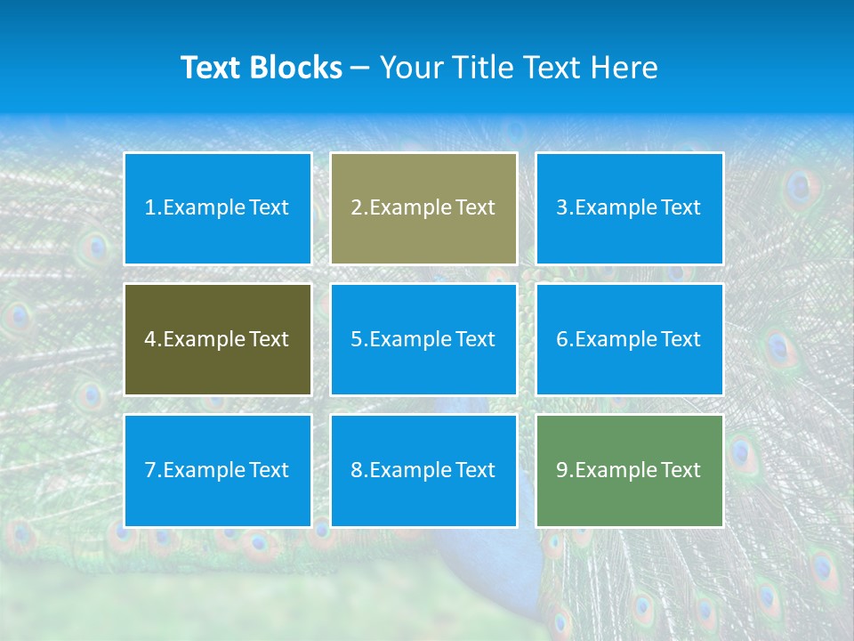 Beak Plumage Detail PowerPoint Template