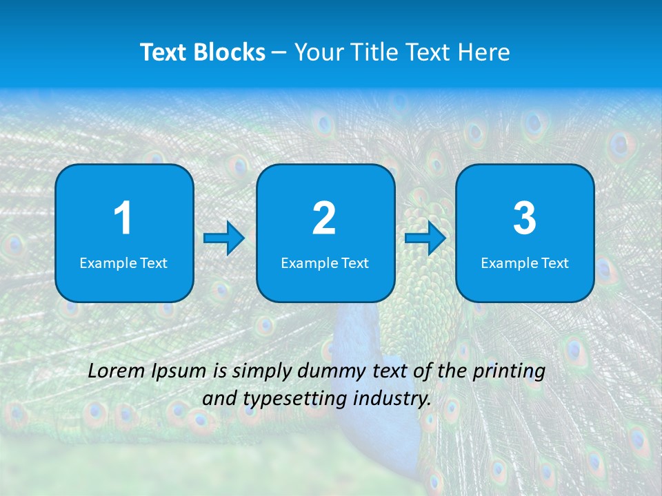Beak Plumage Detail PowerPoint Template