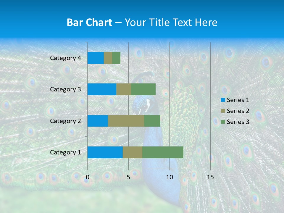 Beak Plumage Detail PowerPoint Template