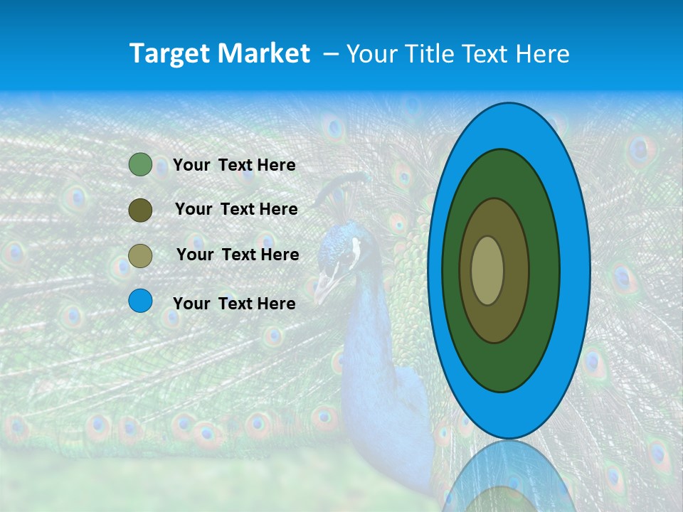 Beak Plumage Detail PowerPoint Template