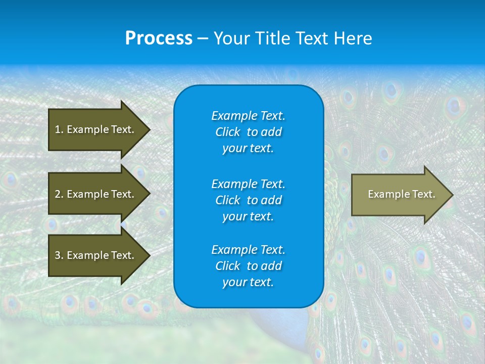 Beak Plumage Detail PowerPoint Template