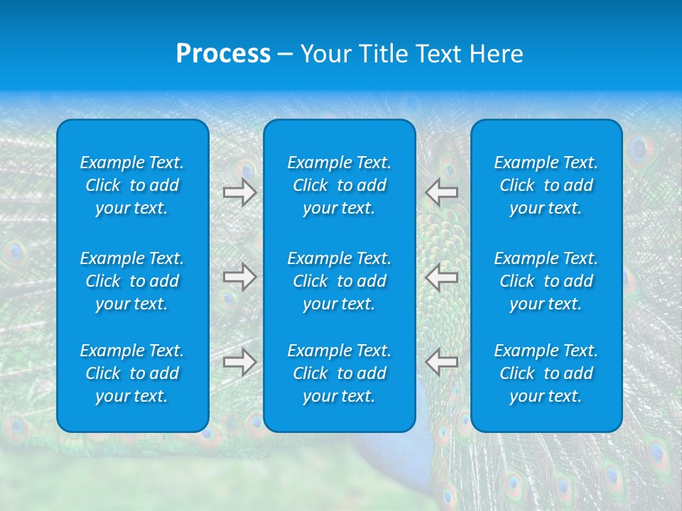 Beak Plumage Detail PowerPoint Template