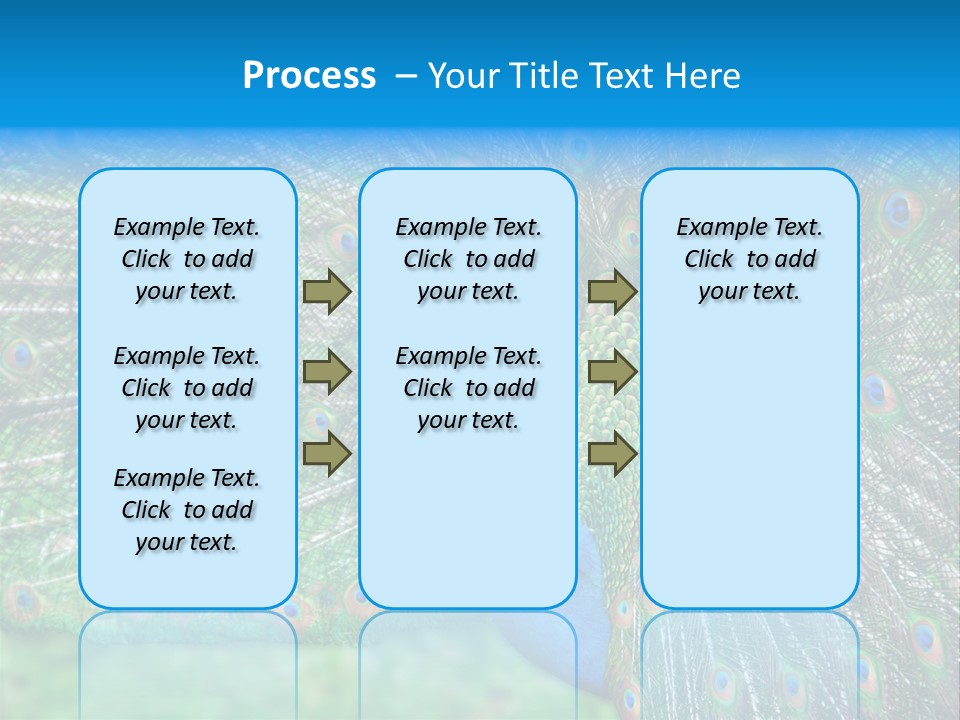 Beak Plumage Detail PowerPoint Template