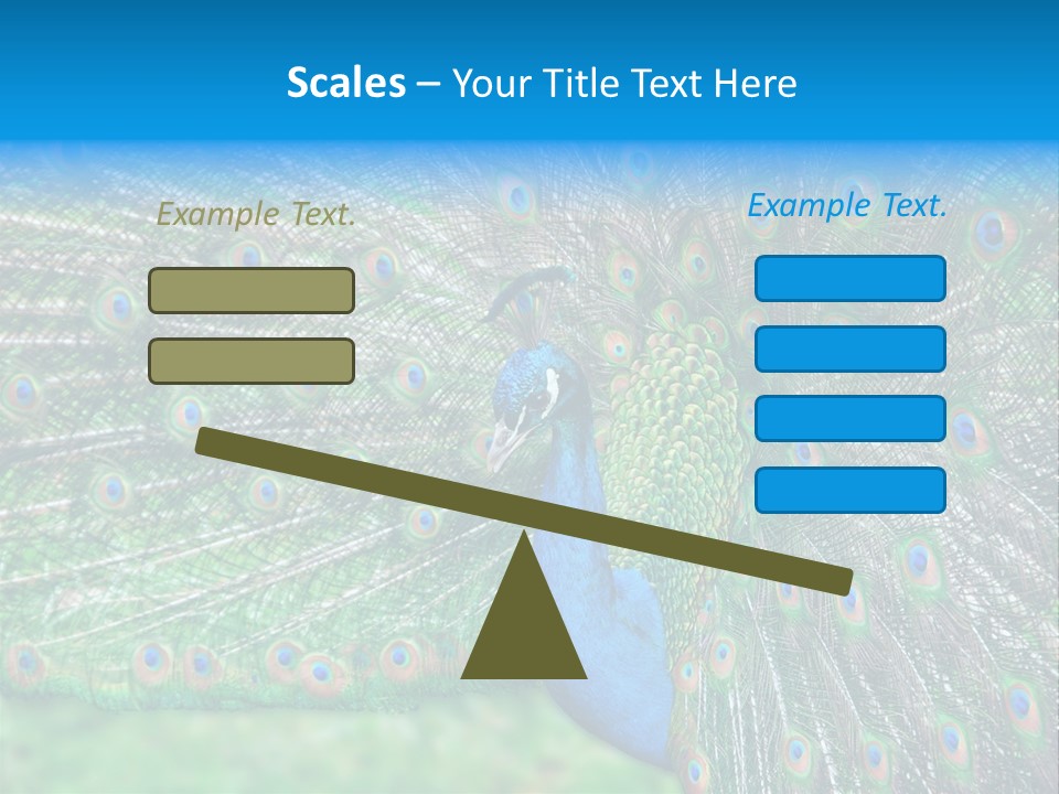 Beak Plumage Detail PowerPoint Template