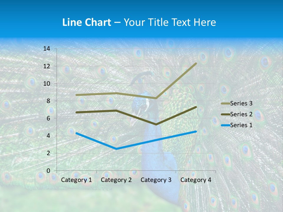 Beak Plumage Detail PowerPoint Template