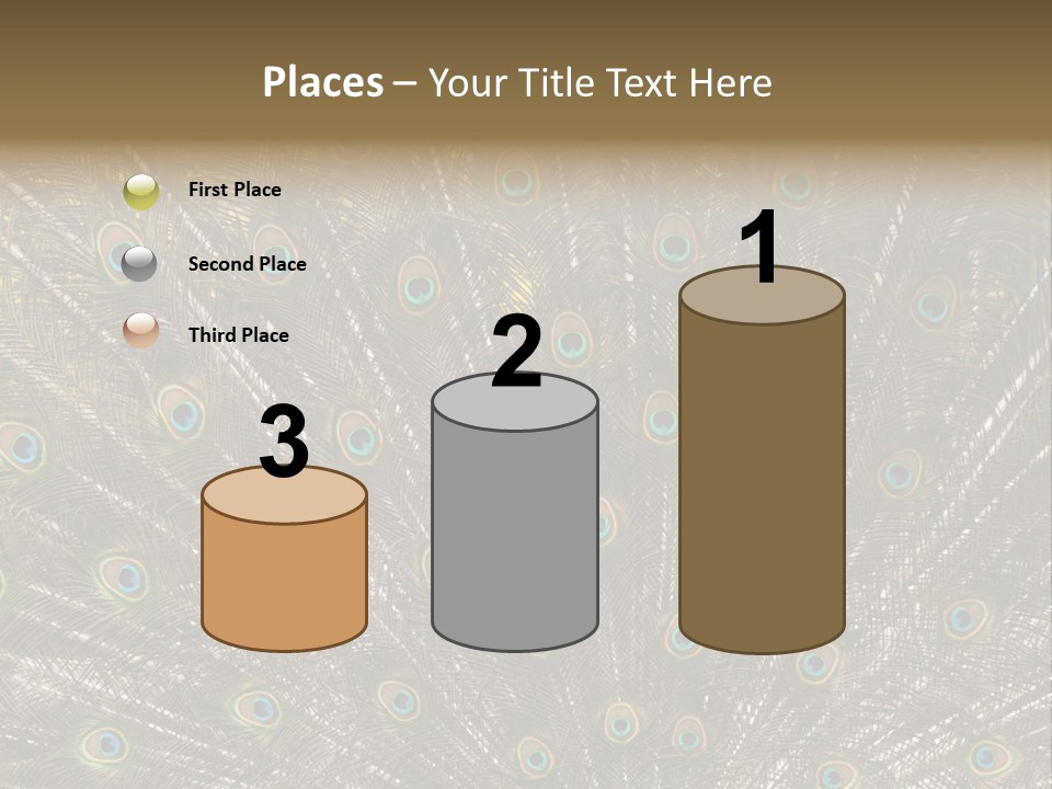 Imponierend Imponiergehabe Peacock PowerPoint Template