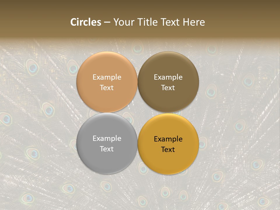 Imponierend Imponiergehabe Peacock PowerPoint Template