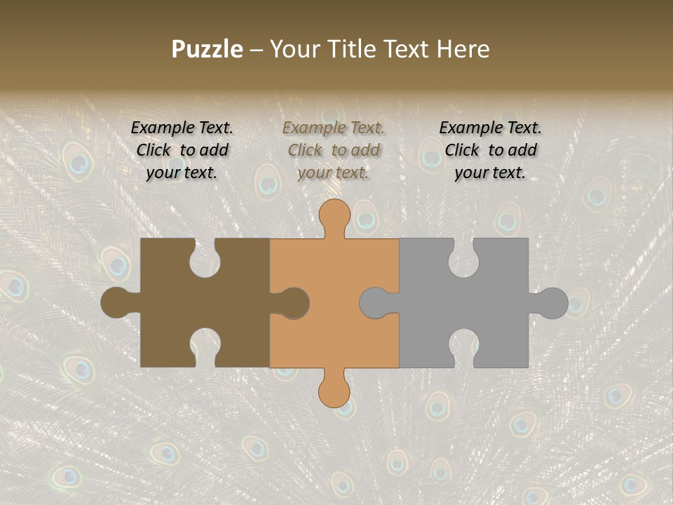 Imponierend Imponiergehabe Peacock PowerPoint Template