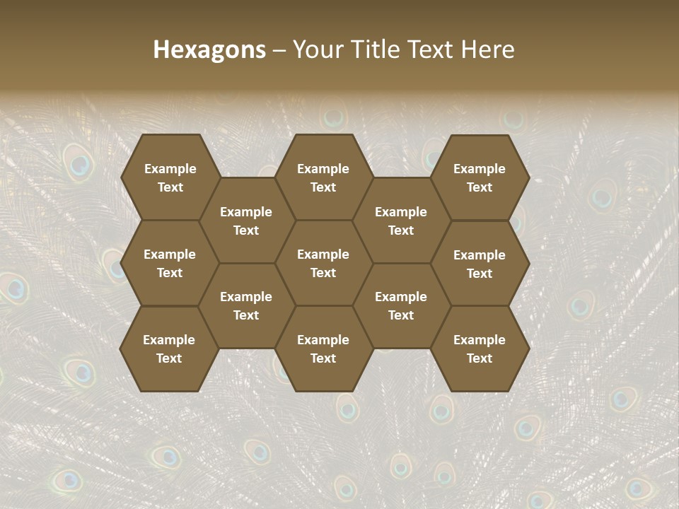 Imponierend Imponiergehabe Peacock PowerPoint Template