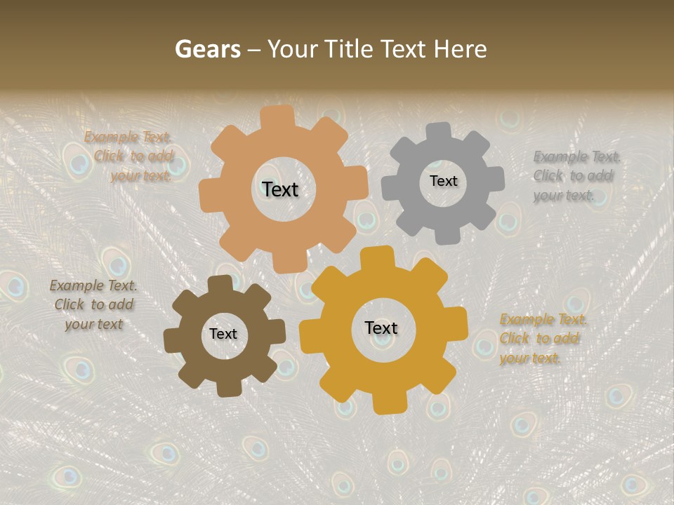 Imponierend Imponiergehabe Peacock PowerPoint Template