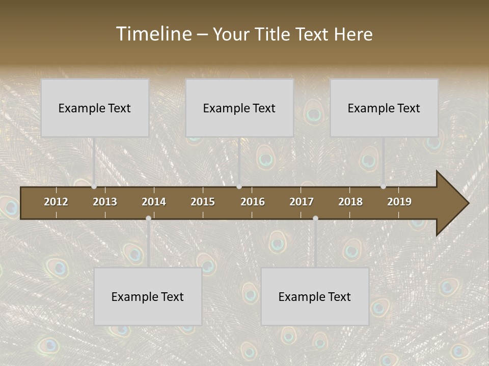 Imponierend Imponiergehabe Peacock PowerPoint Template