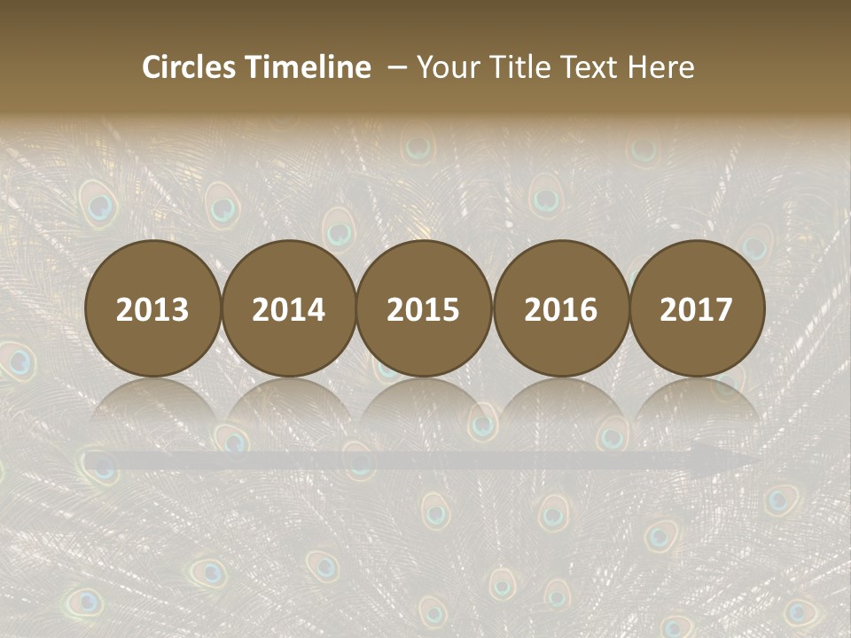 Imponierend Imponiergehabe Peacock PowerPoint Template