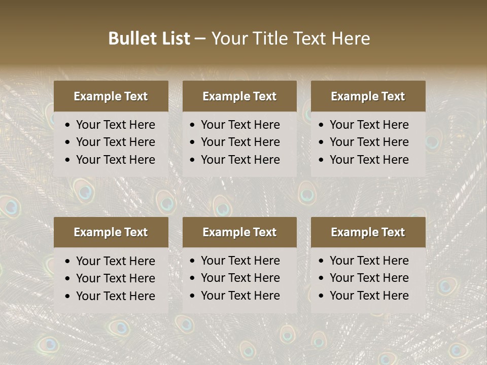 Imponierend Imponiergehabe Peacock PowerPoint Template