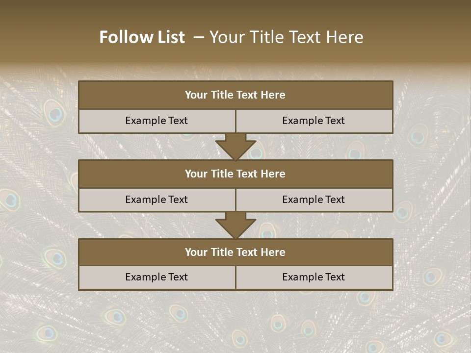 Imponierend Imponiergehabe Peacock PowerPoint Template