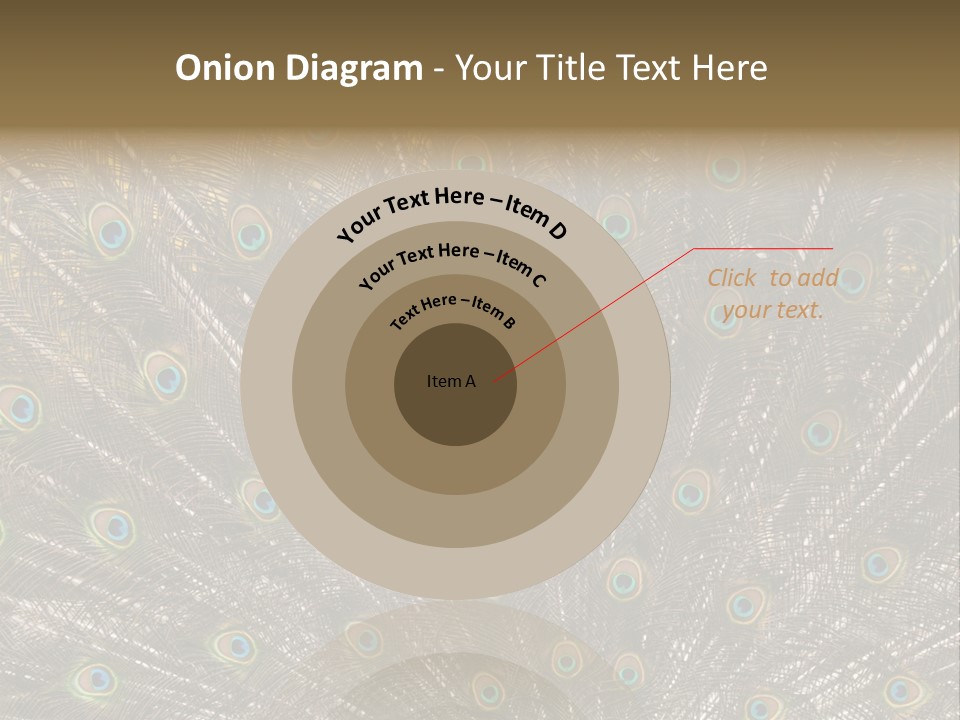 Imponierend Imponiergehabe Peacock PowerPoint Template