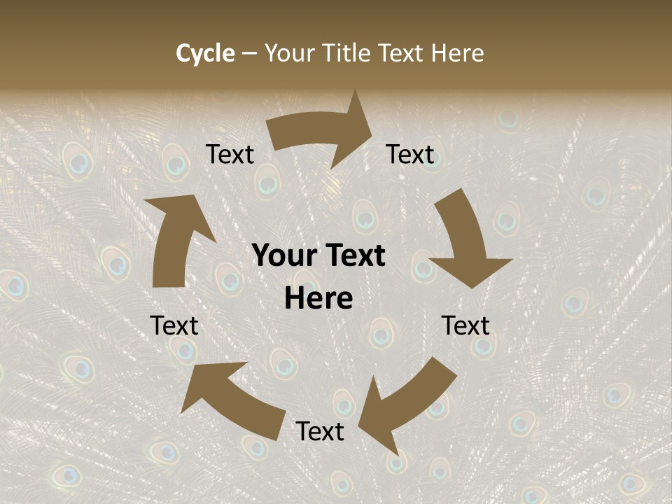 Imponierend Imponiergehabe Peacock PowerPoint Template