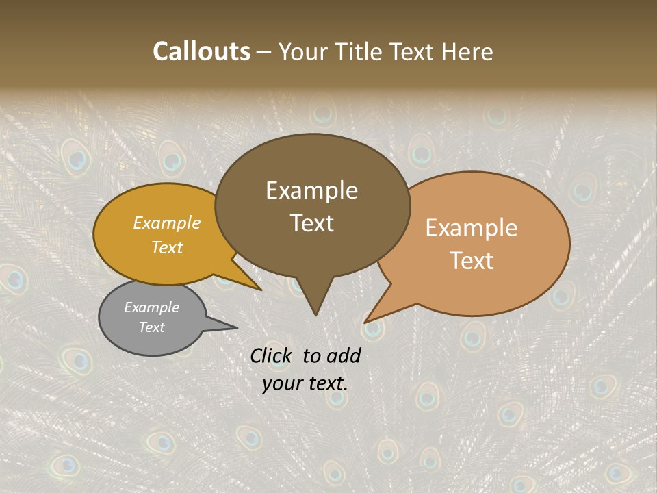 Imponierend Imponiergehabe Peacock PowerPoint Template