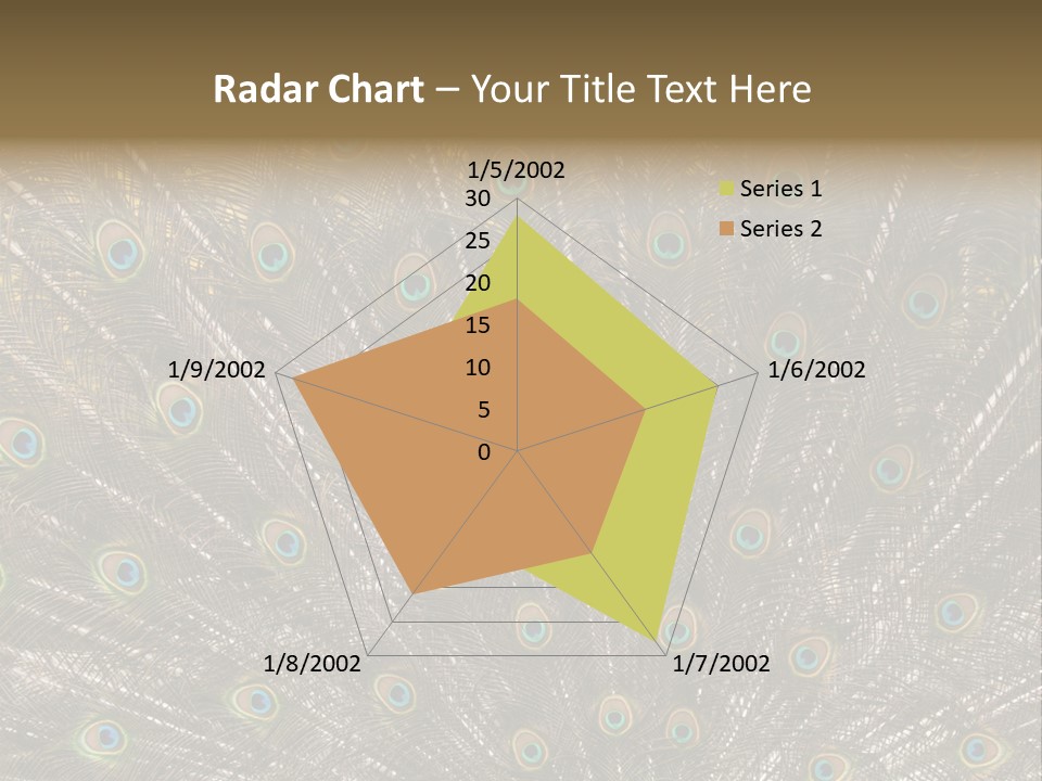 Imponierend Imponiergehabe Peacock PowerPoint Template