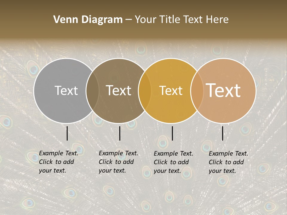 Imponierend Imponiergehabe Peacock PowerPoint Template