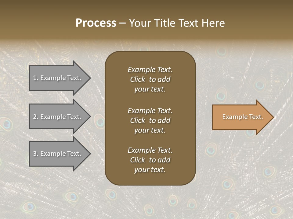 Imponierend Imponiergehabe Peacock PowerPoint Template