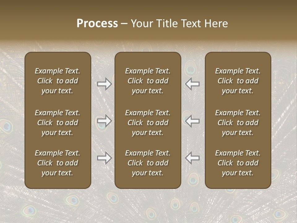 Imponierend Imponiergehabe Peacock PowerPoint Template