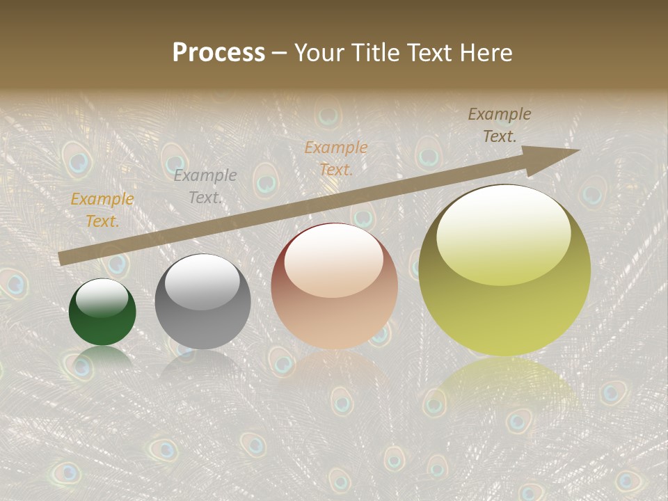Imponierend Imponiergehabe Peacock PowerPoint Template