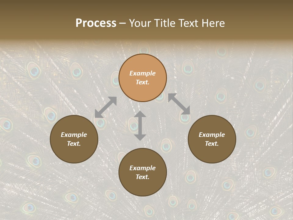 Imponierend Imponiergehabe Peacock PowerPoint Template