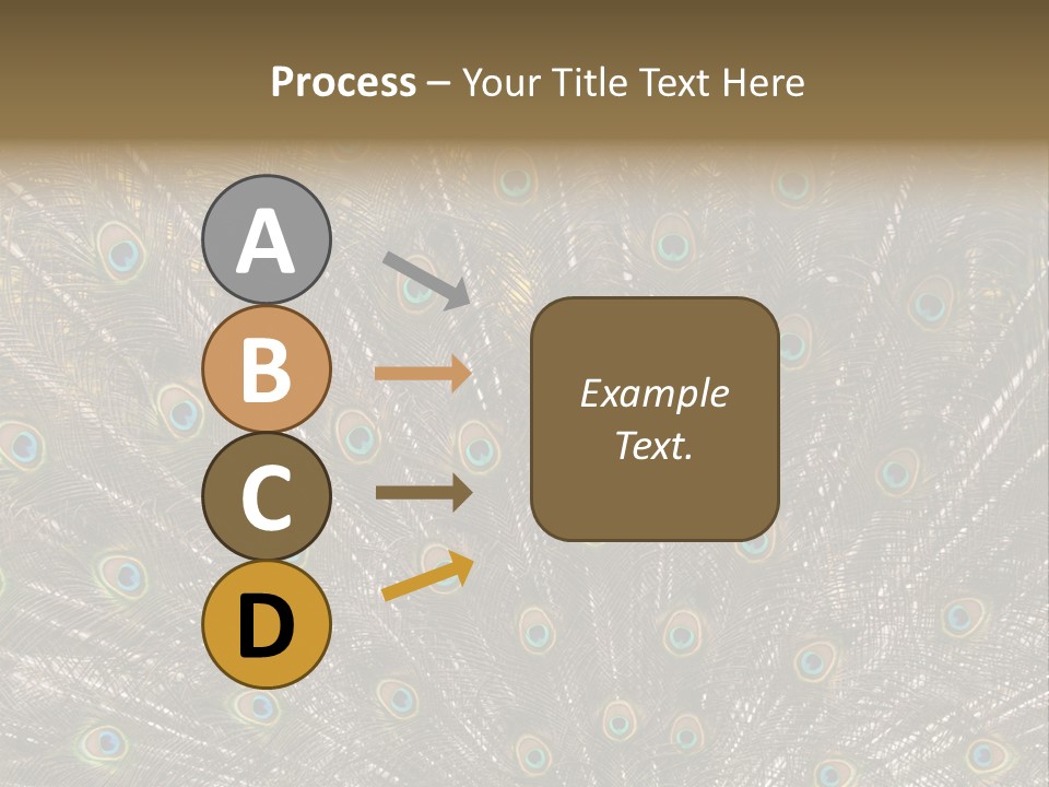 Imponierend Imponiergehabe Peacock PowerPoint Template