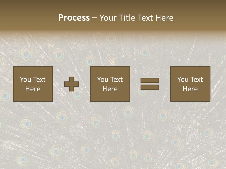 Imponierend Imponiergehabe Peacock PowerPoint Template