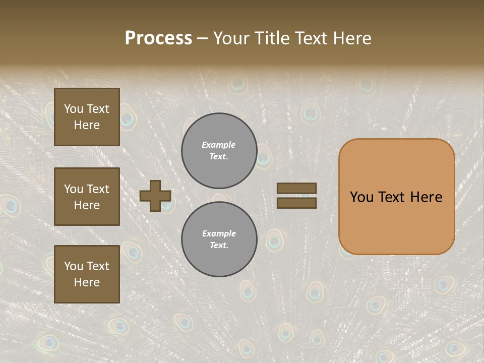 Imponierend Imponiergehabe Peacock PowerPoint Template