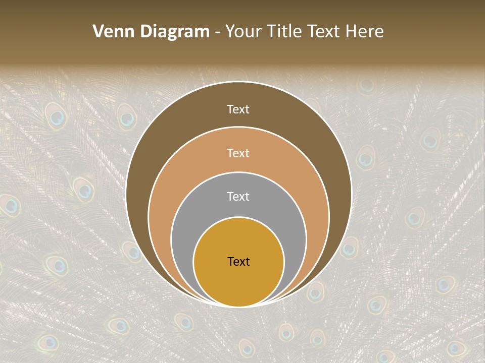 Imponierend Imponiergehabe Peacock PowerPoint Template
