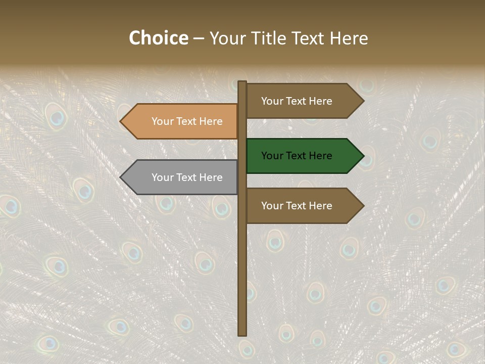 Imponierend Imponiergehabe Peacock PowerPoint Template