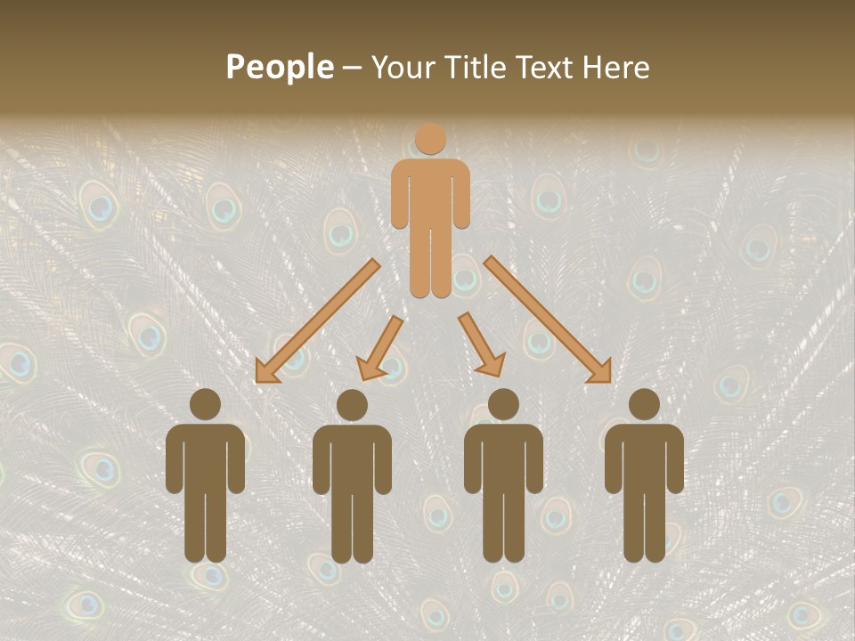 Imponierend Imponiergehabe Peacock PowerPoint Template