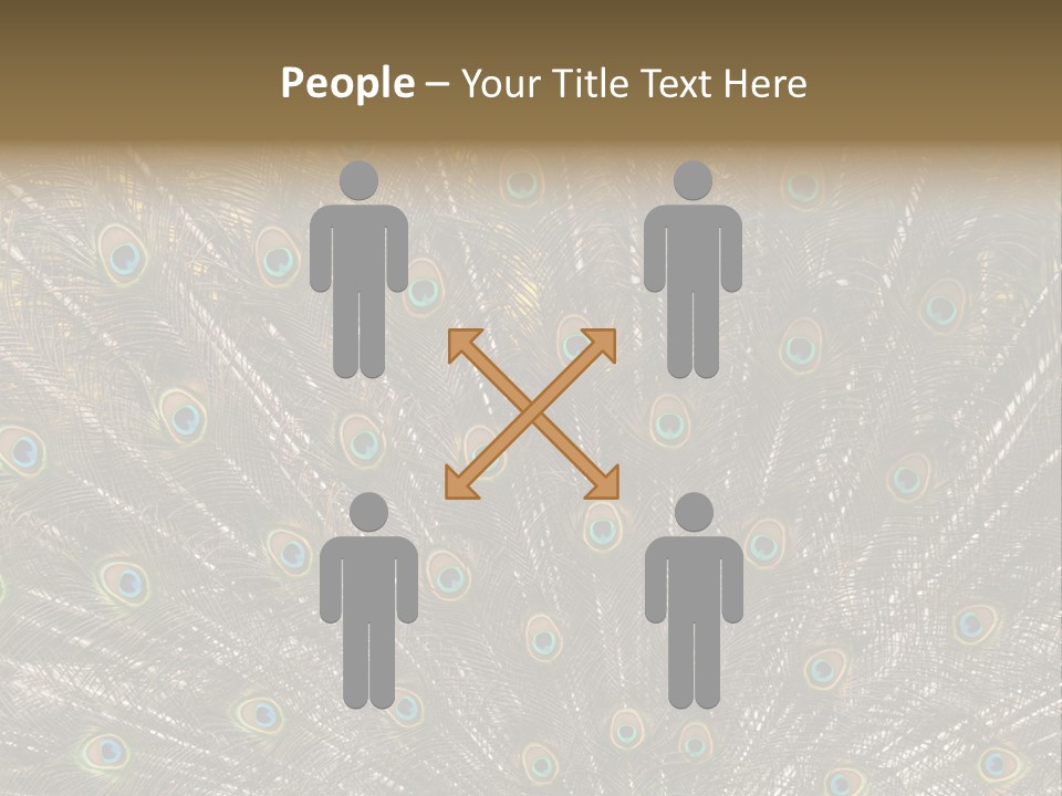 Imponierend Imponiergehabe Peacock PowerPoint Template