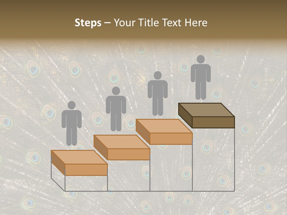 Imponierend Imponiergehabe Peacock PowerPoint Template