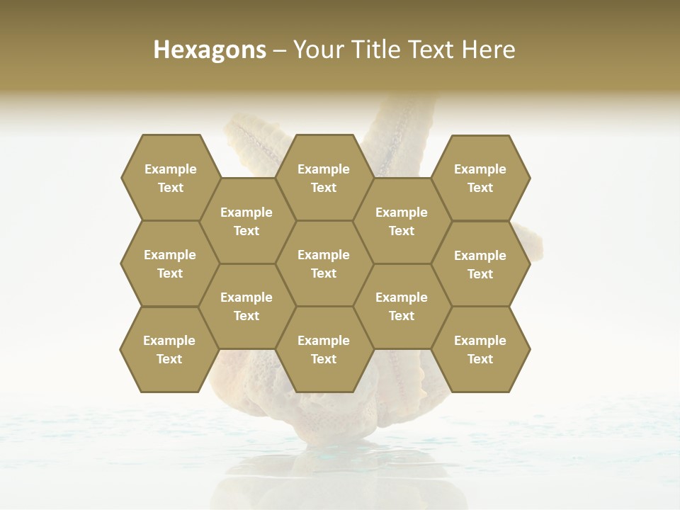 Porous Reverberation Tender PowerPoint Template