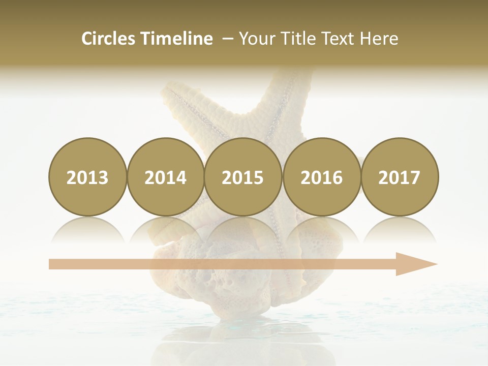 Porous Reverberation Tender PowerPoint Template