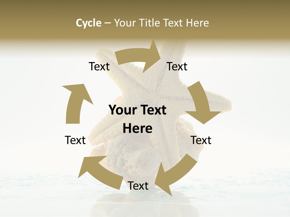 Porous Reverberation Tender PowerPoint Template