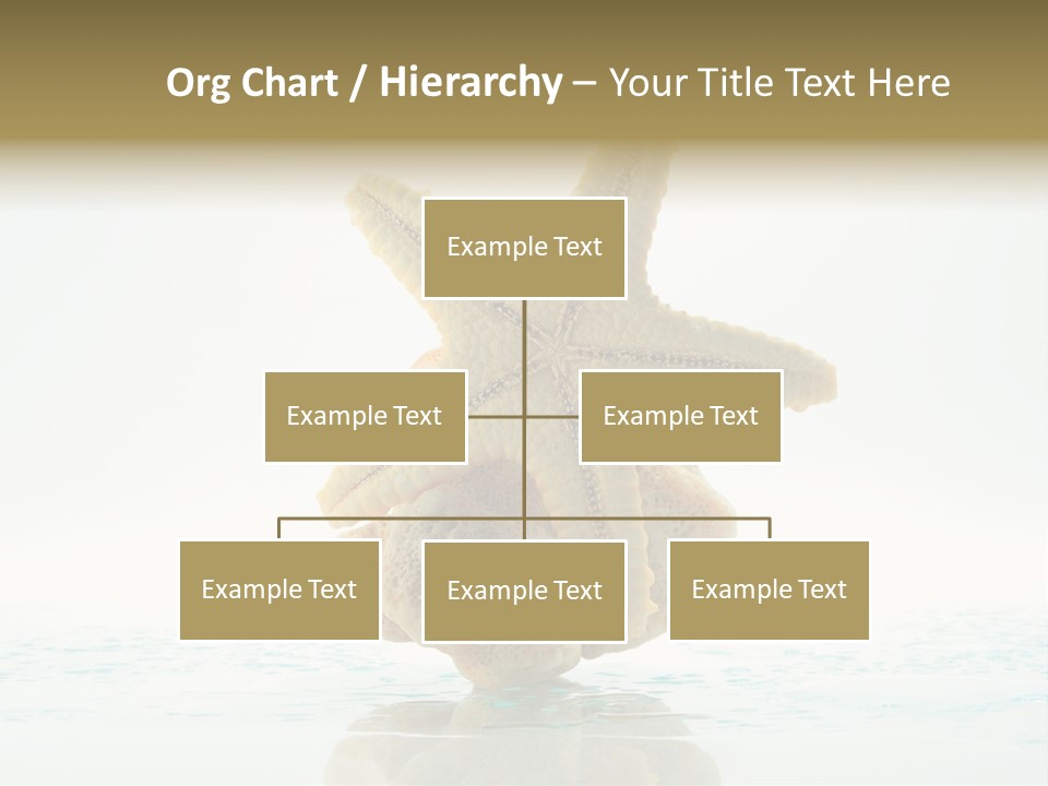 Porous Reverberation Tender PowerPoint Template