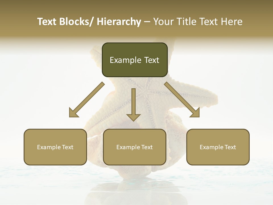 Porous Reverberation Tender PowerPoint Template