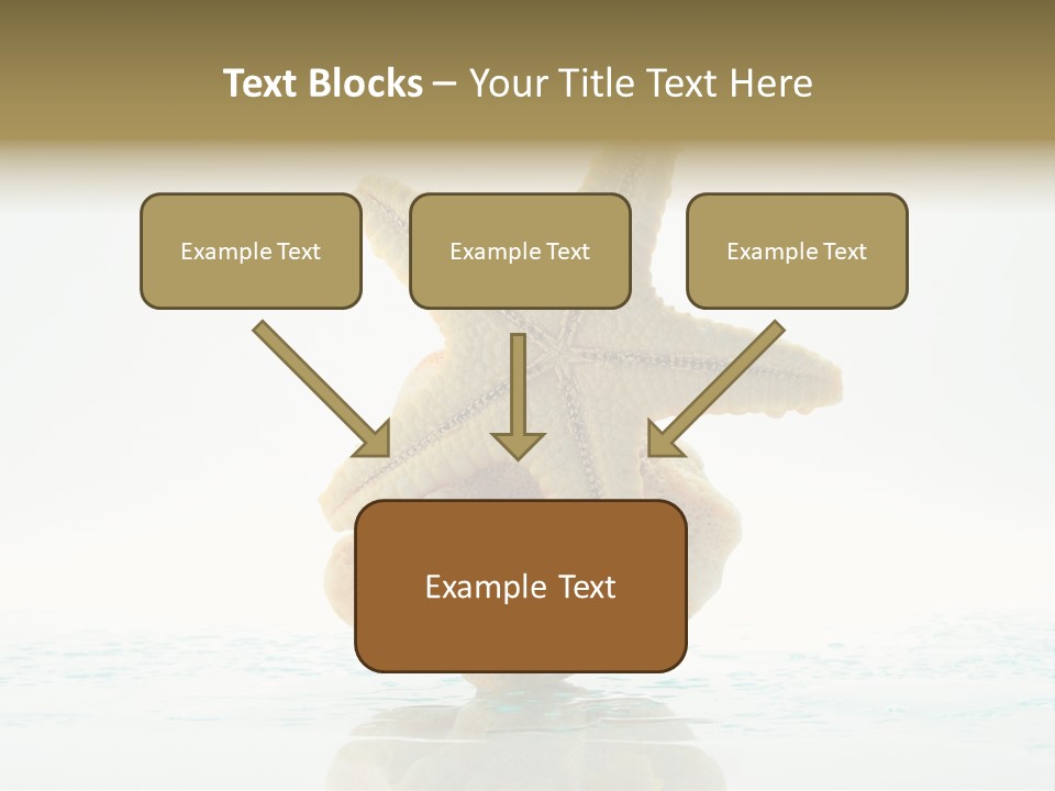 Porous Reverberation Tender PowerPoint Template
