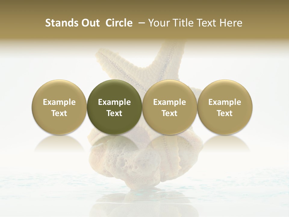 Porous Reverberation Tender PowerPoint Template